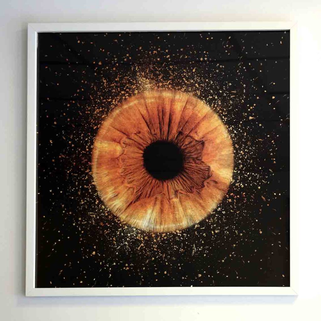 montage iris marron sur fond noir