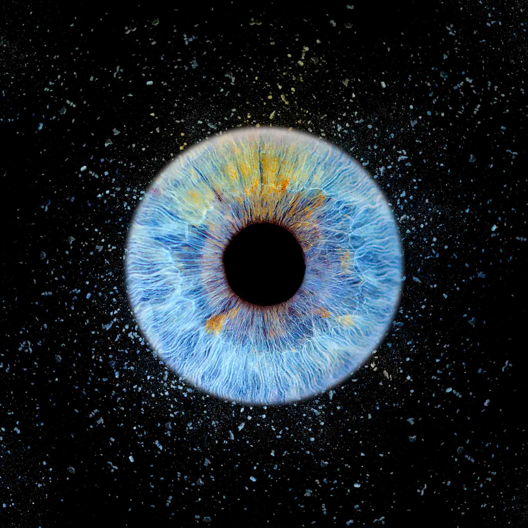 IRIS Jean-Yves