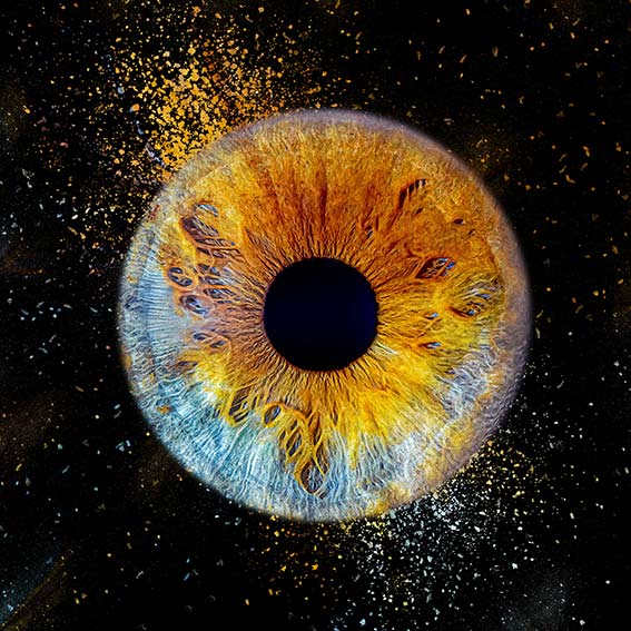 Iris bleu et marron - Léa