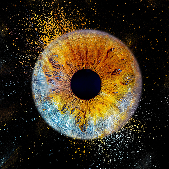 Portrait macro iris bleu et doré - Photographie artistique Agen