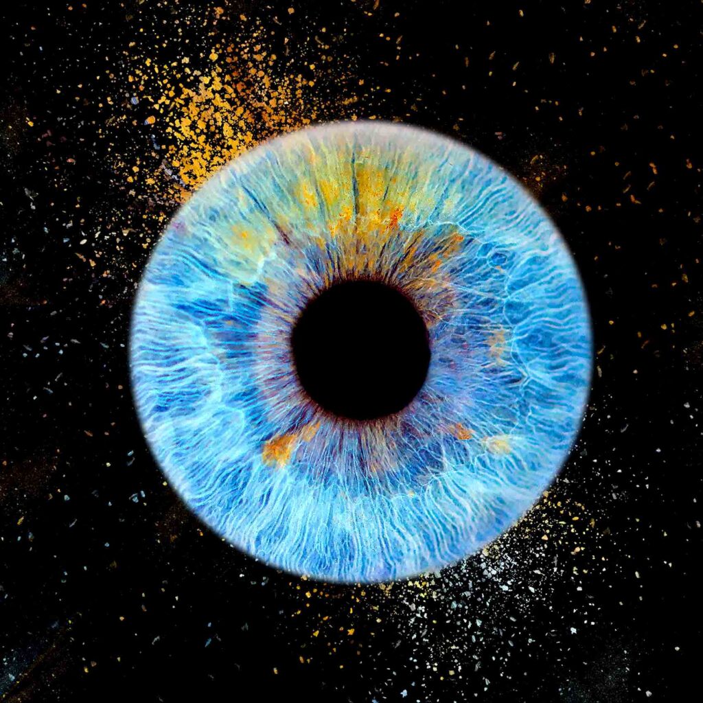 portrait iris bleu macro Agen Photo Minute