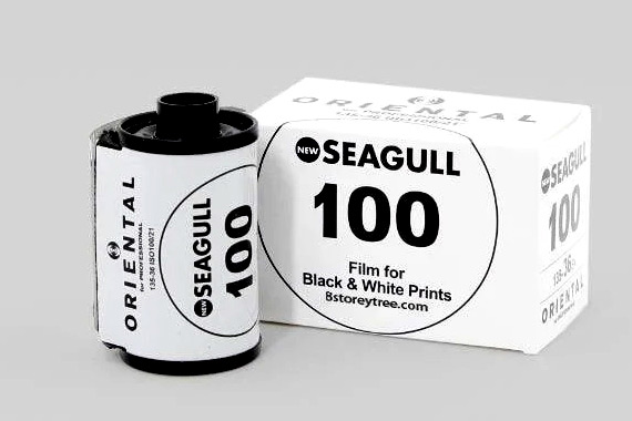 Oriental Seagull 100